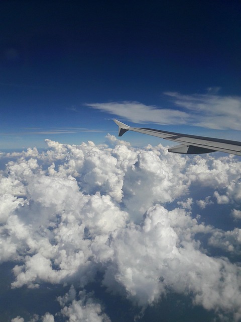 Free Plane Flying photo and picture