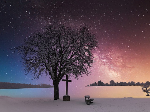 Free Tree Wayside Cross photo and picture