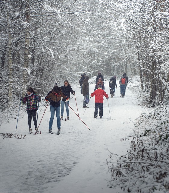 Sne, Stå På Ski, Vinter, Kold, Natur