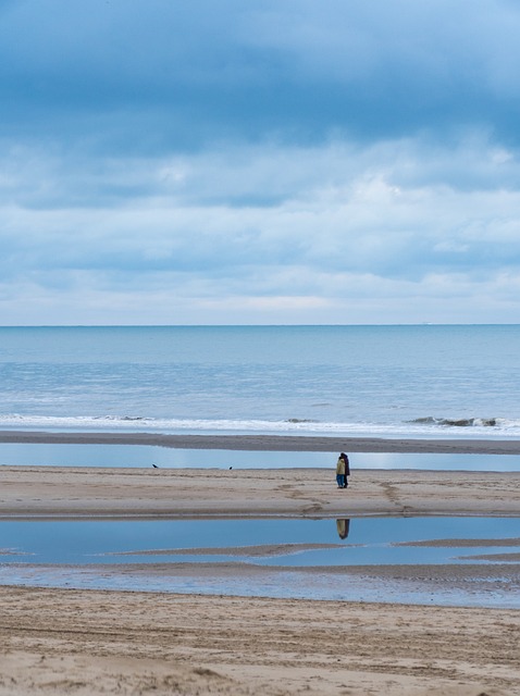 Hav, Strand, Tropisk, Natur, Vand, Kyst