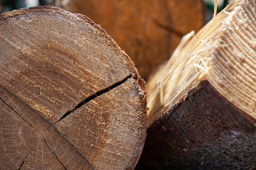 Free Wood Tribe photo and picture