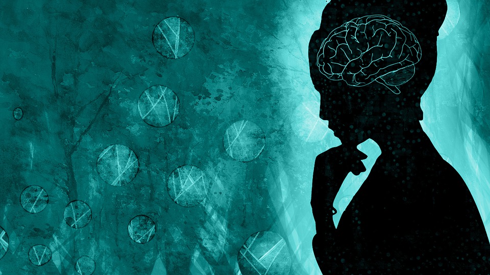 Brain Intelligence Female - Free image on Pixabay