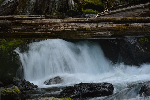 Free Waterfalls Nature photo and picture