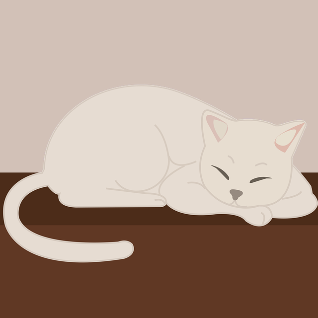 Free cat sleeping nap illustration