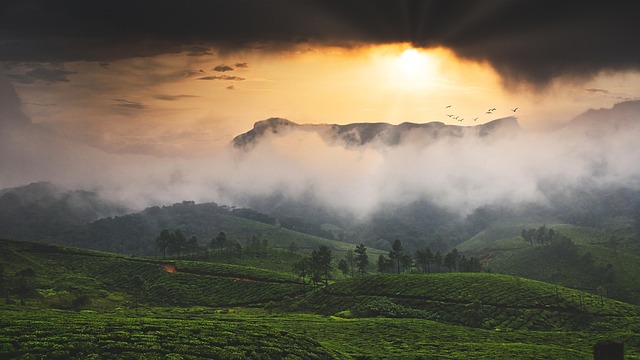 Free India Sunset photo and picture