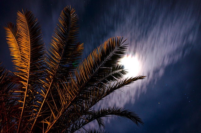 Free Night Night Sky photo and picture
