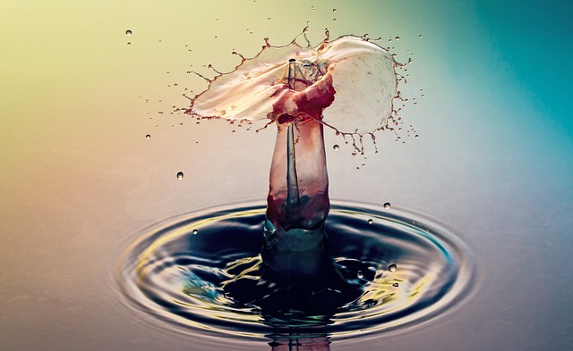 Free Water Drops photo and picture