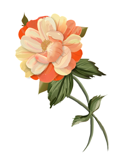 Free Flower Plant illustration and picture