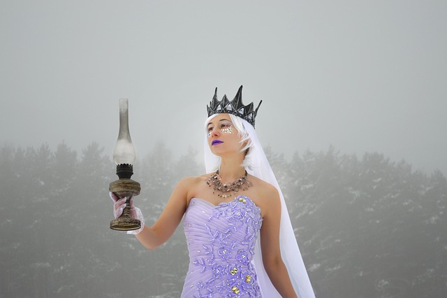 La Reine Des Neiges Magie Hiver Photo Gratuite Sur Pixabay Pixabay