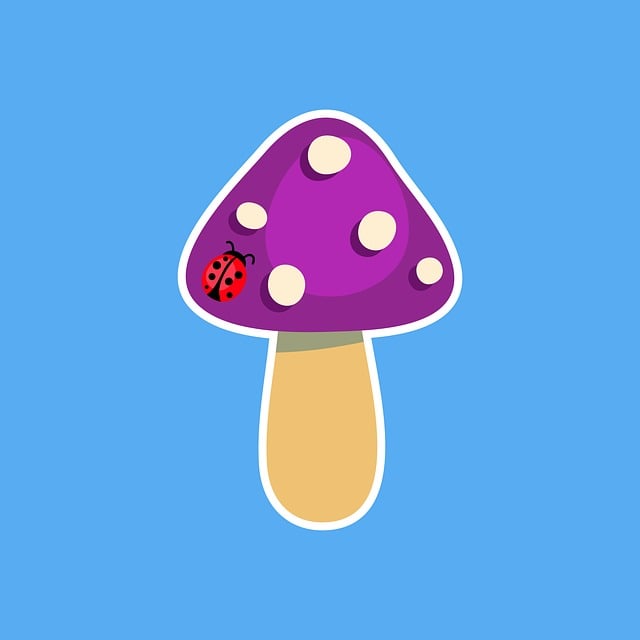 Free mushroom ladybug bug illustration