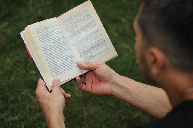 Buchen, Mann, Schüler, Geheimnis