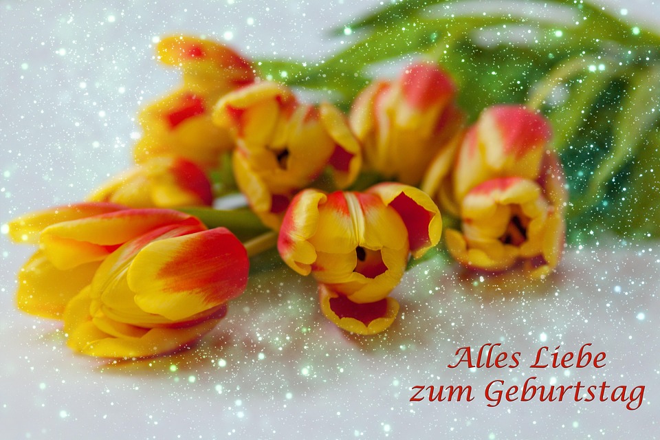  Blumen Tulpen - Kostenloses Foto auf Pixabay Illustration 