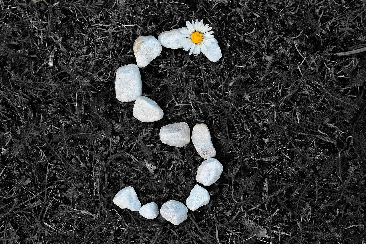 Stones - free online jigsaw puzzle photo
