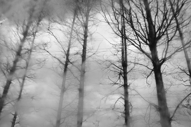 Free Cloudy Day Rain photo and picture
