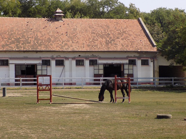 Free Horse Barn photo and picture