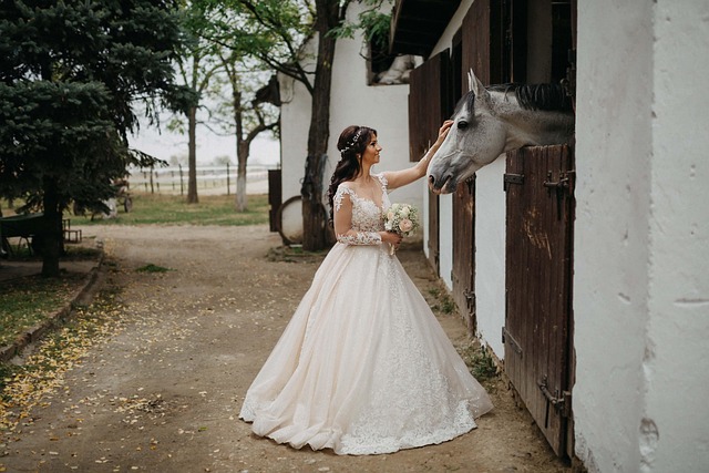 Free Wedding Woman photo and picture