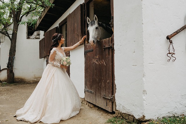 Free Woman Horse photo and picture