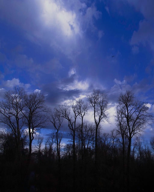 Free Blue Sky photo and picture