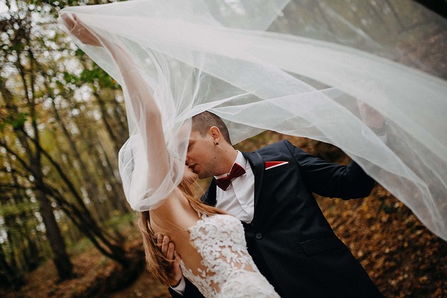 Free Wedding Couple photo and picture