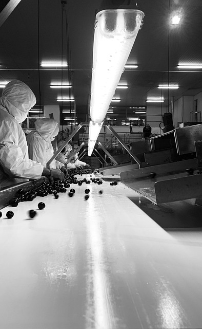 Arbeit, Früchte, Obst, Grün, Natur