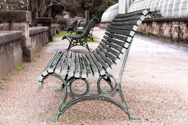 Free Bench Trees photo and picture
