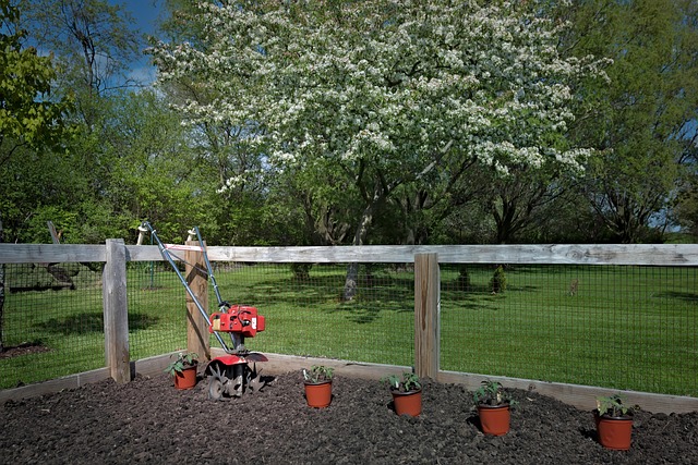 Jardim, Primavera, Planta, Solo Cultivar