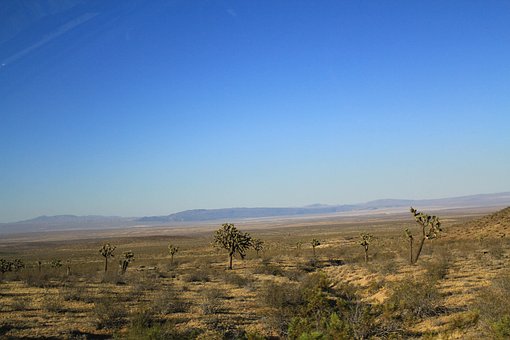 Dessert, Kalifornien, Landschaft, Natur