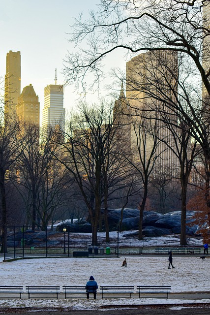 Free Winter Central Park photo and picture