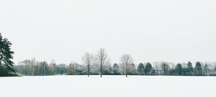 Free Winter Landscape photo and picture