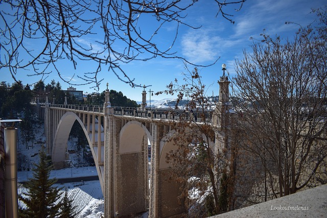 Free Bridge Winter photo and picture