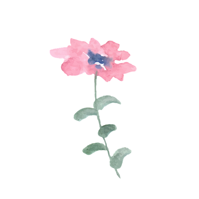 Free flower plant watercolor illustration