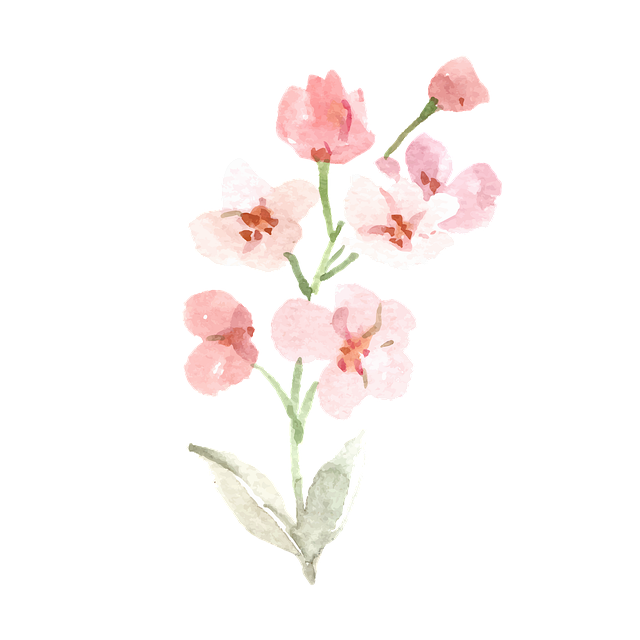 Blumen, Pflanze, Aquarell, Blüte