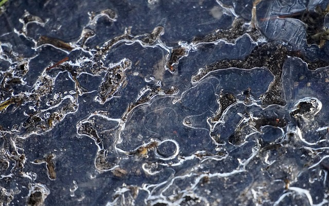 Free Puddle Frozen photo and picture