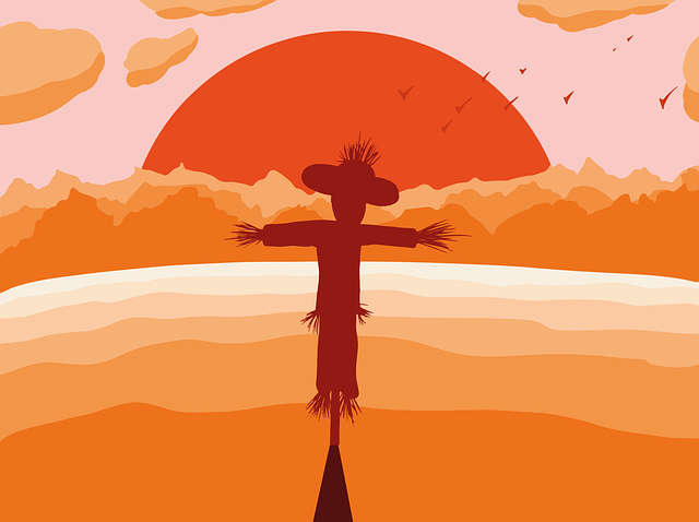 Espantalho, Campo, Pôr Do Sol, Sol