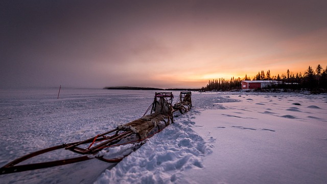 Free Dog Sled Sleds photo and picture