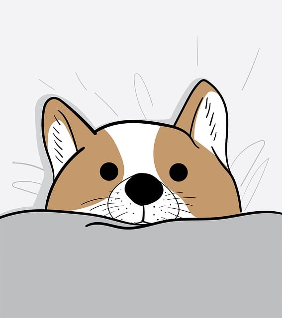 Free dog puppy canine illustration