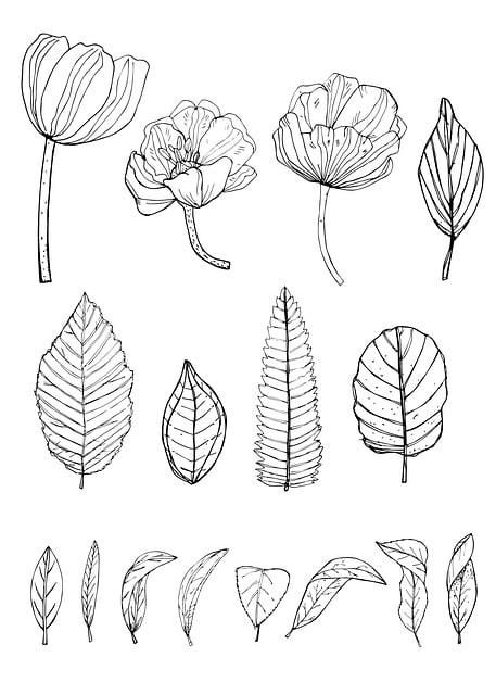 Free flowers leaves doodle illustration