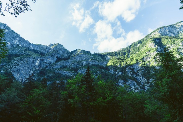 Free Mountains Trees photo and picture