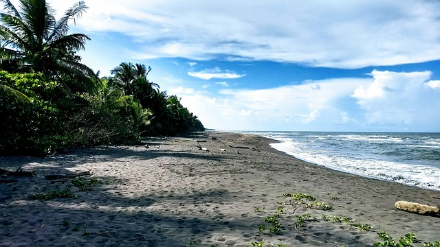Free Beach Landscape photo and picture