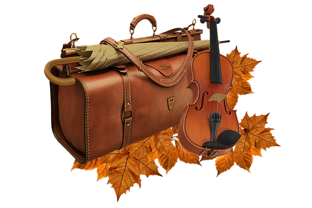 Herfst, Paraplu, Bagage, Viool