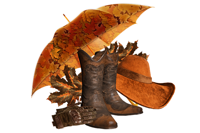 Free autumn nature leaves illustration