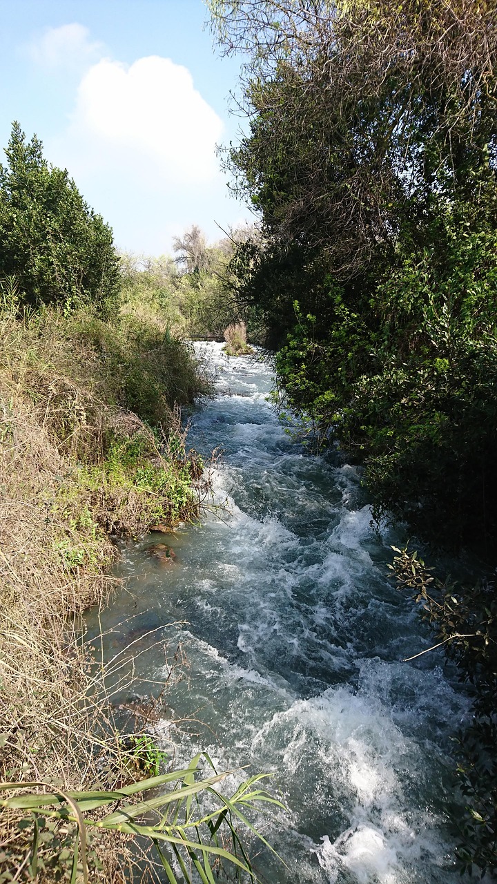 Tel Dan Spring Tel Dan Israel Viajar - Foto gratuita no Pixabay - Pixabay