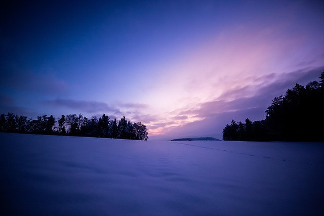 Sne, Solopgang, Felt, Solnedgang, Træer