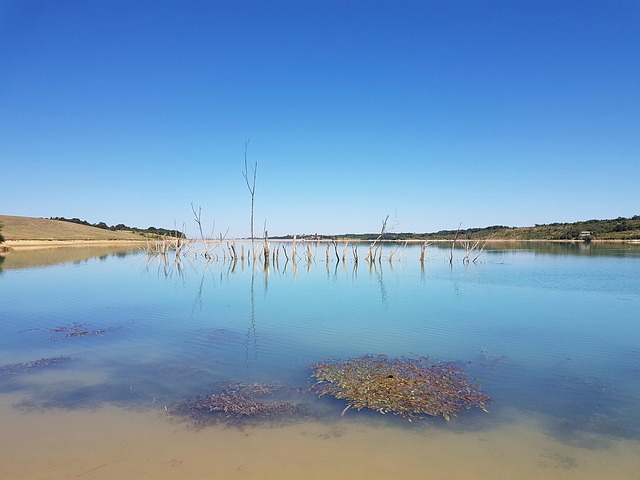 Free Summer Lake photo and picture