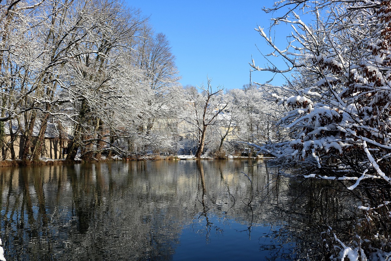 冬天 雪 寒冷的 - Pixabay上的免费照片 - Pixabay