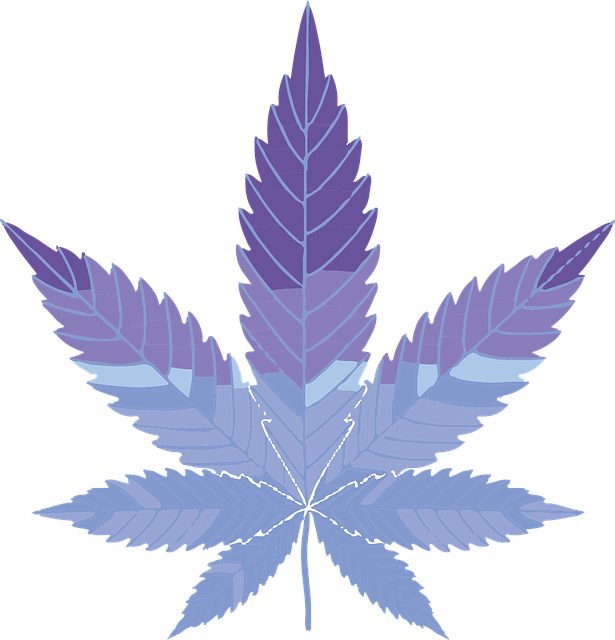 Free hemp ganja medicinal vector