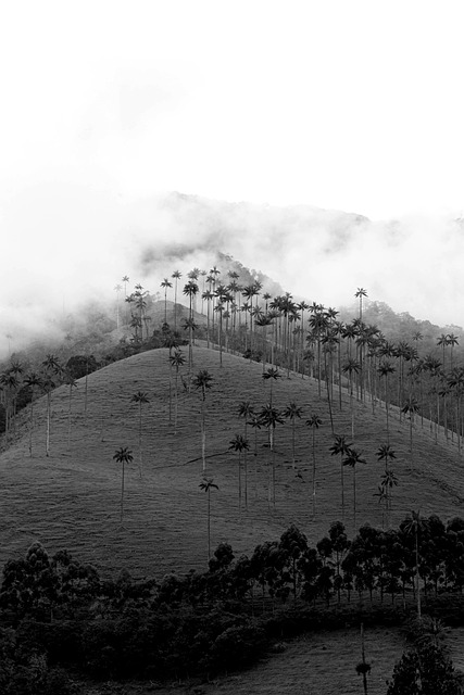 Free Landscape Nature photo and picture