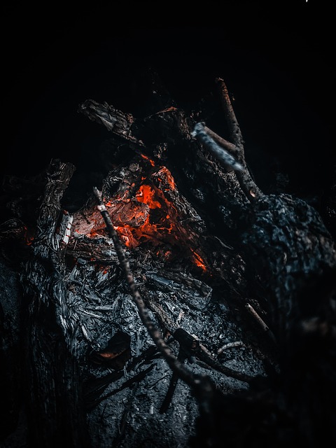 Free Burning Fire photo and picture