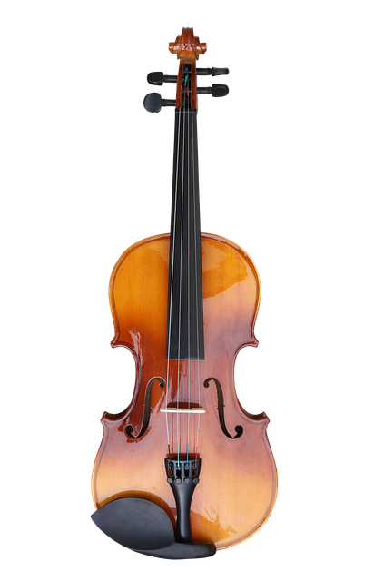 Download free HD stock image of Violin Instrument Free violin instrument music illustration