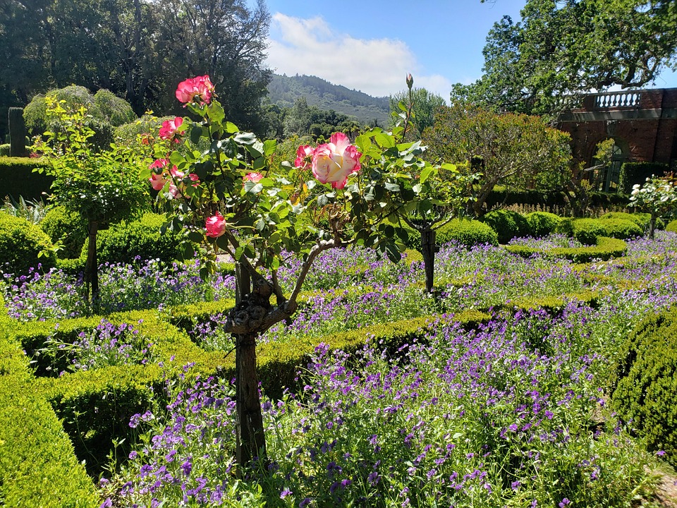 Filoli Gardens Garden Free photo on Pixabay Pixabay Filoli Gardens Garden Free photo on Pixabay Pixabay